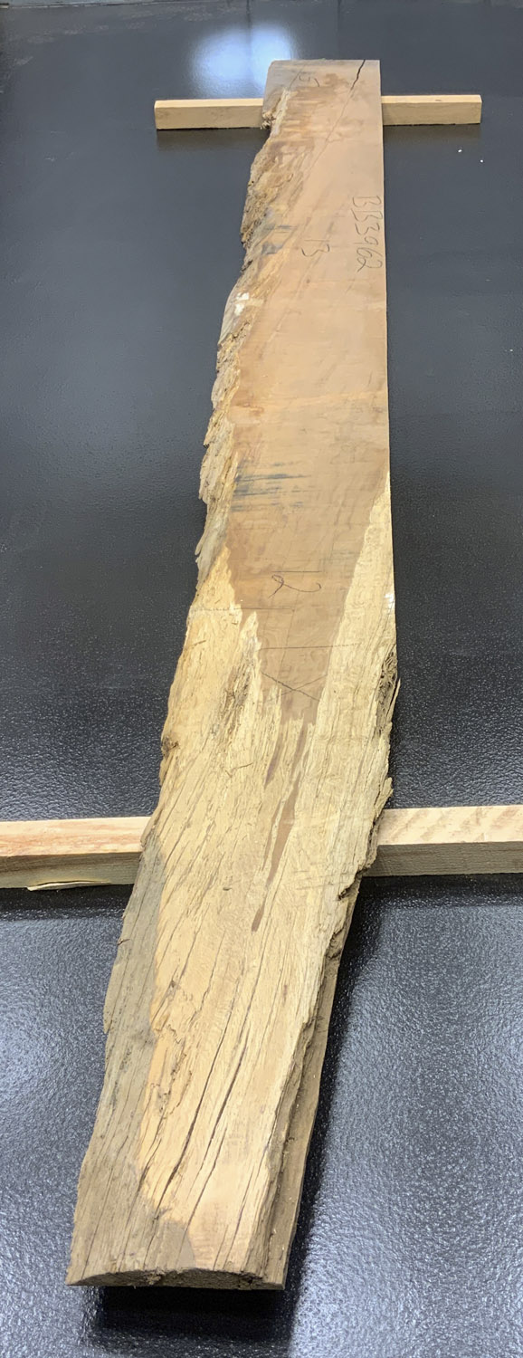 Myrtle (Tasmanian) Board BB3962