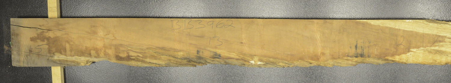 Myrtle (Tasmanian) Board BB3962