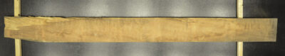 Myrtle (Tasmanian) Board BB3963