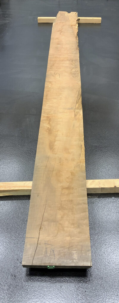Myrtle (Tasmanian) Board BB3963