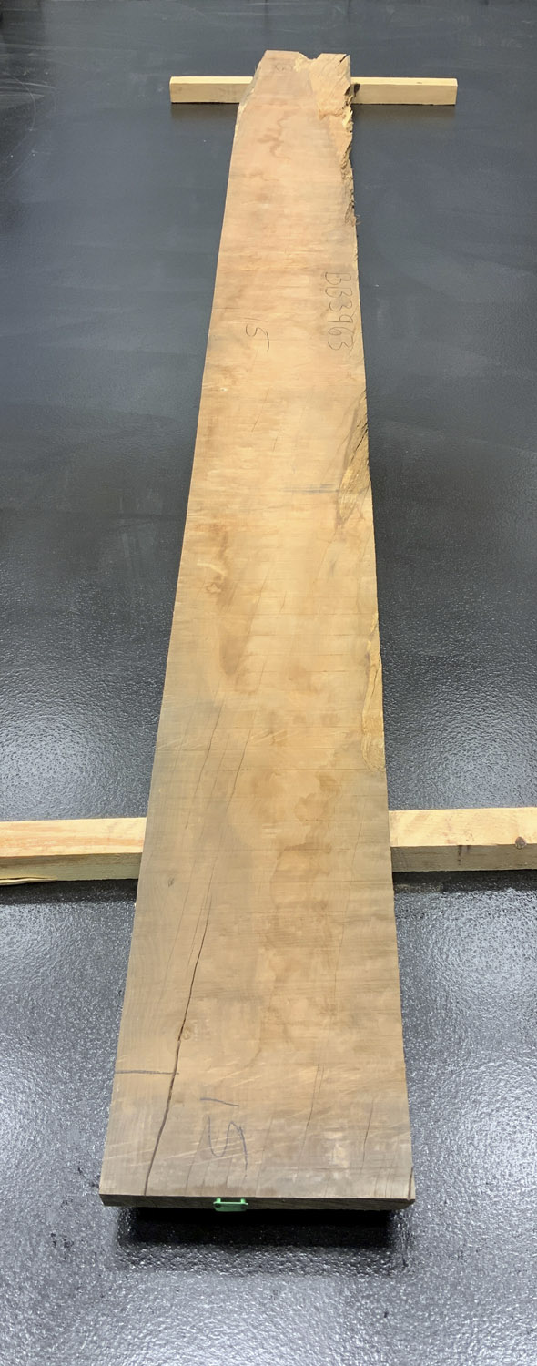 Myrtle (Tasmanian) Board BB3963