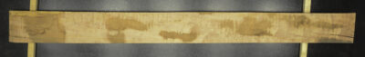 Myrtle (Tasmanian) Board BB3964