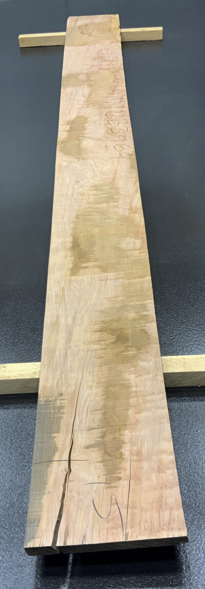 Myrtle (Tasmanian) Board BB3964