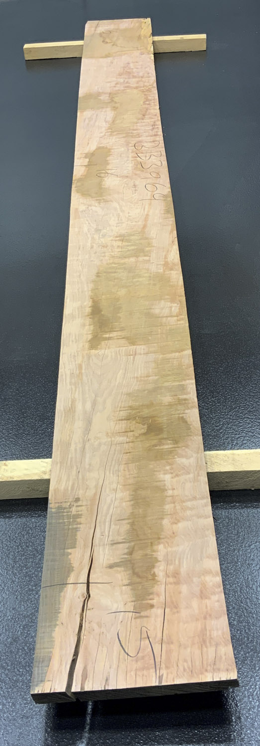 Myrtle (Tasmanian) Board BB3964