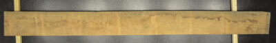 Myrtle (Tasmanian) Board BB3965