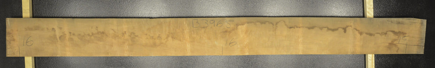 Myrtle (Tasmanian) Board BB3965
