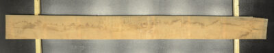 Myrtle (Tasmanian) Board BB3966