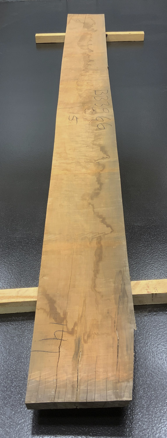 Myrtle (Tasmanian) Board BB3966
