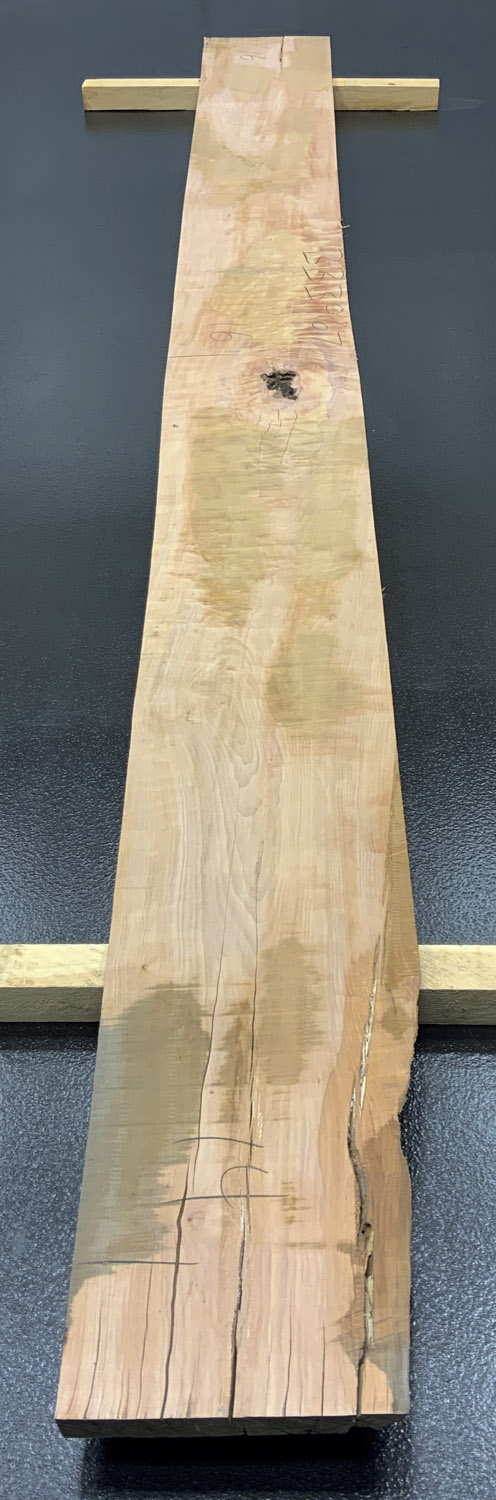 Myrtle (Tasmanian) Board BB3967