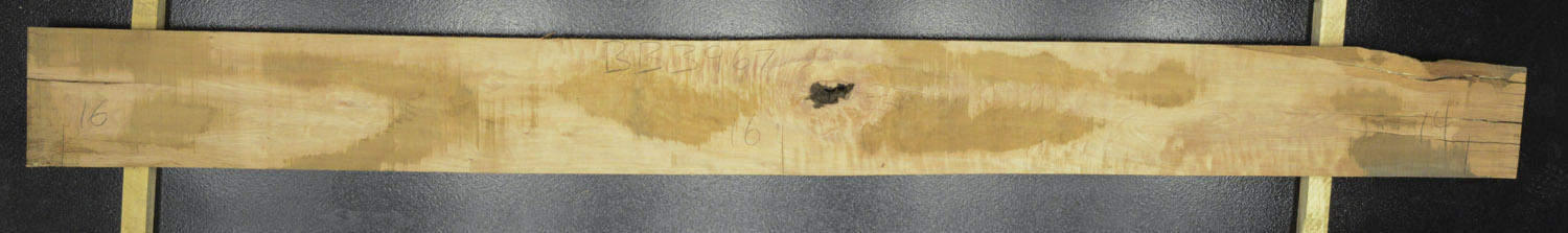 Myrtle (Tasmanian) Board BB3967