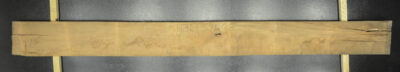 Myrtle (Tasmanian) Board BB3968