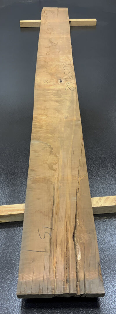 Myrtle (Tasmanian) Board BB3968