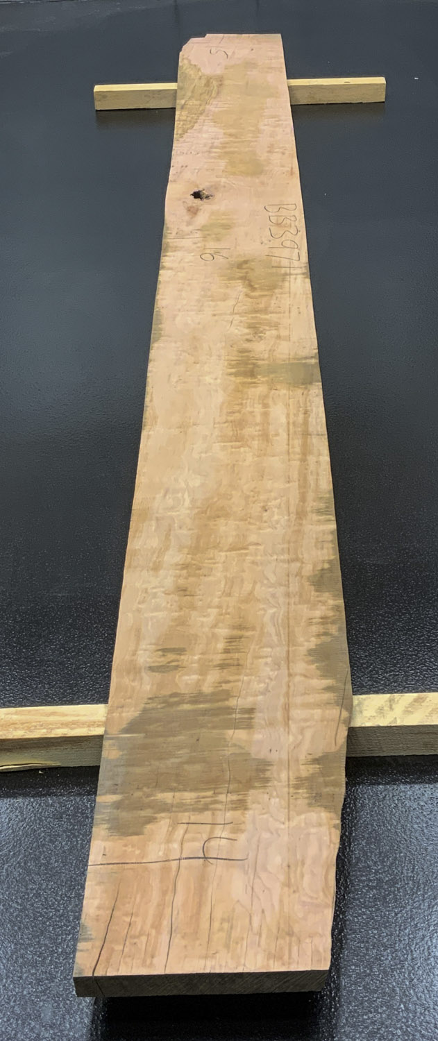 Myrtle (Tasmanian) Board BB3971