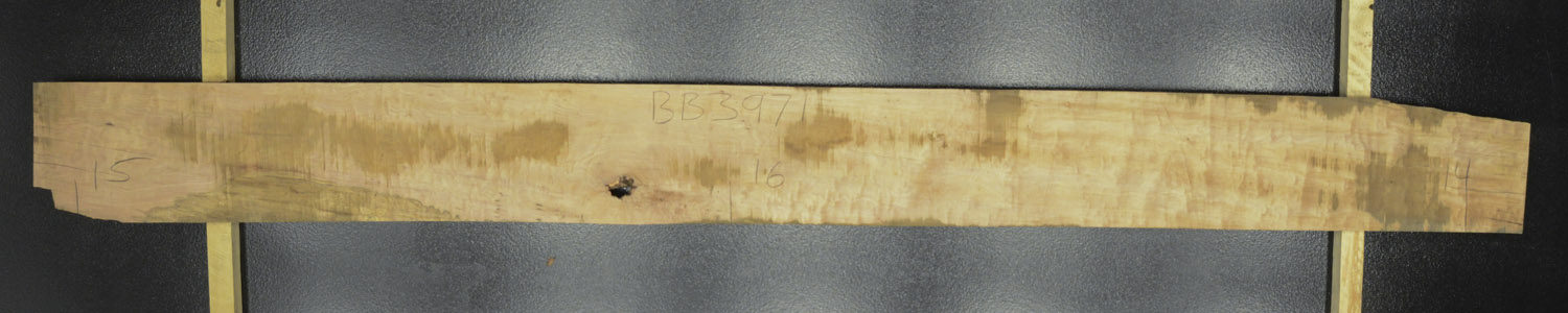 Myrtle (Tasmanian) Board BB3971