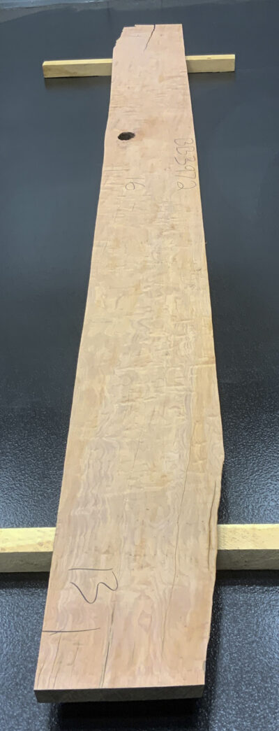 Myrtle (Tasmanian) Board BB3972