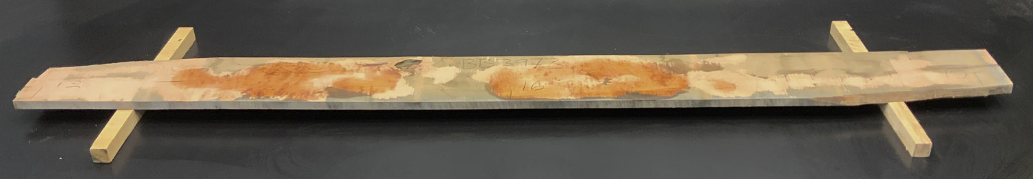 Myrtle (Tasmanian) Board BB3973