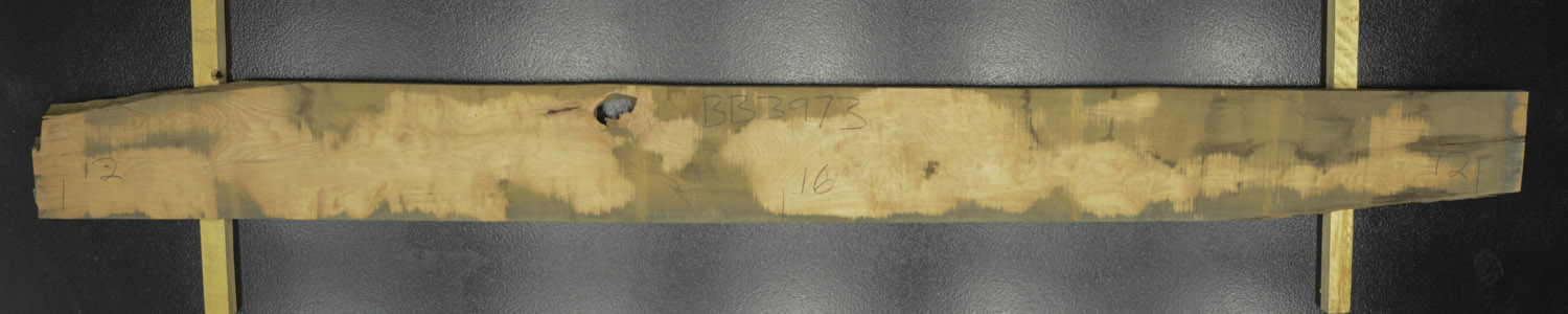 Myrtle (Tasmanian) Board BB3973