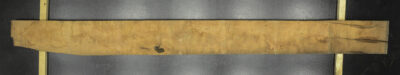 Myrtle (Tasmanian) Board BB3974