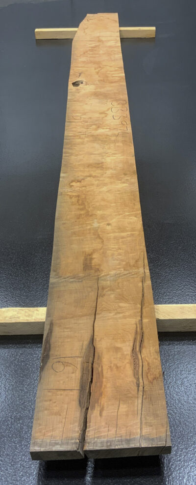 Myrtle (Tasmanian) Board BB3974