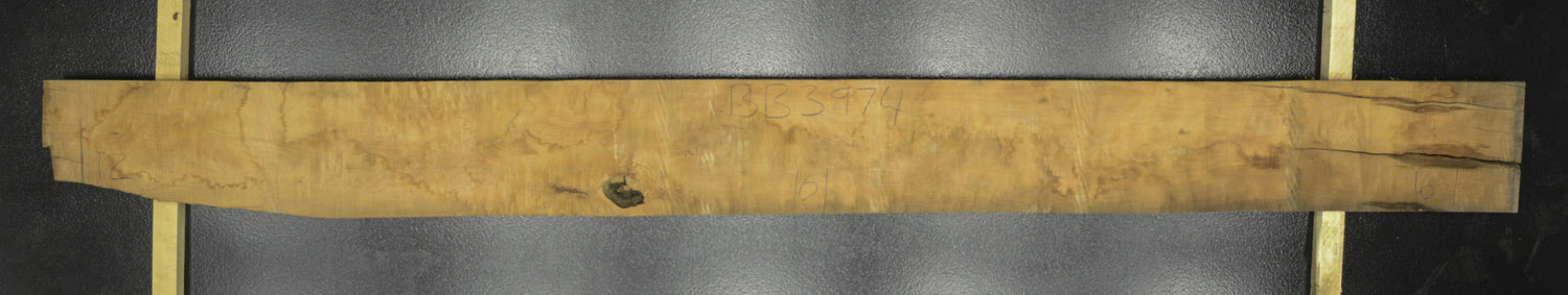 Myrtle (Tasmanian) Board BB3974