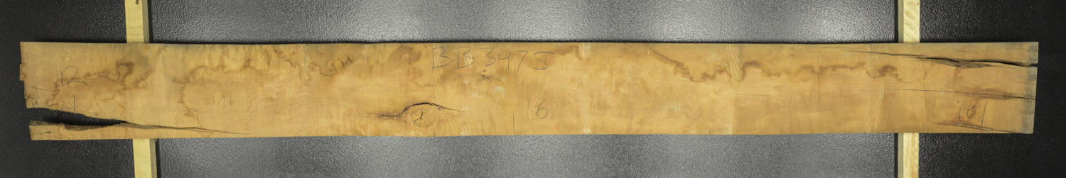 Myrtle (Tasmanian) Board BB3975