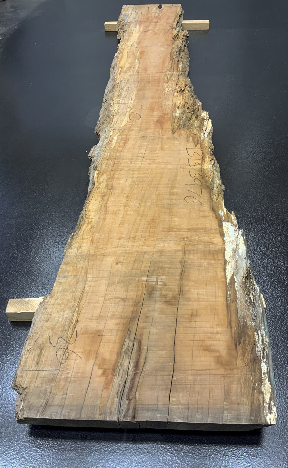 Myrtle (Tasmanian) Board BB3976