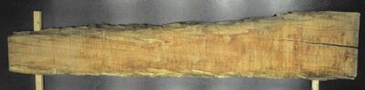 Myrtle (Tasmanian) Board BB3977