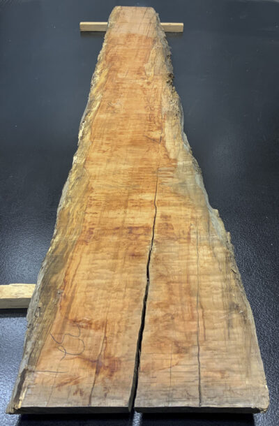 Myrtle (Tasmanian) Board BB3977