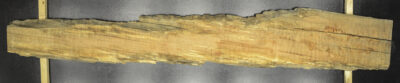 Myrtle (Tasmanian) Board BB3978