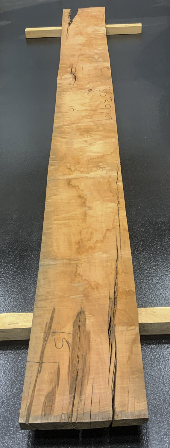 Myrtle (Tasmanian) Board BB3979