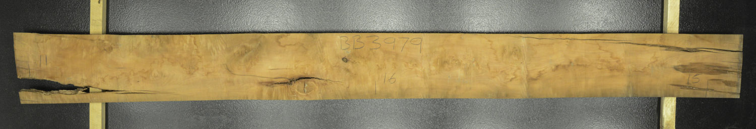 Myrtle (Tasmanian) Board BB3979