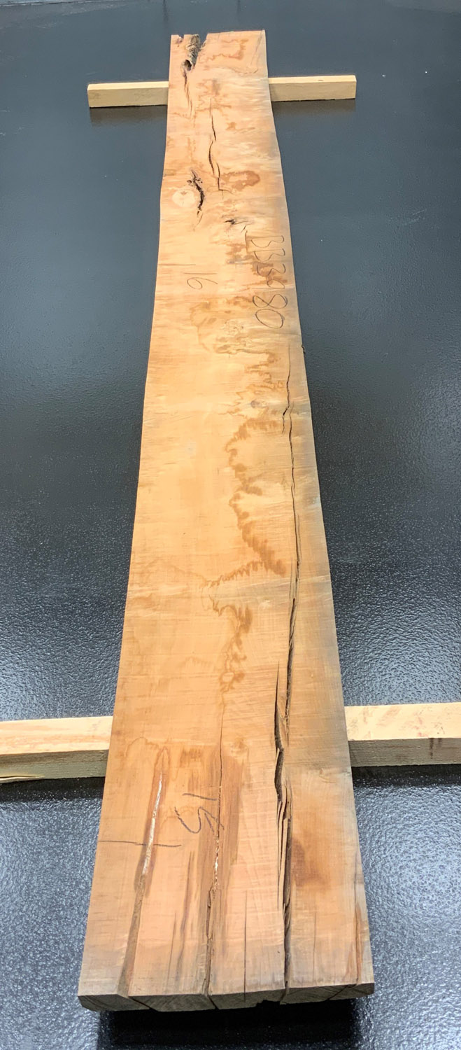 Myrtle (Tasmanian) Board BB3980