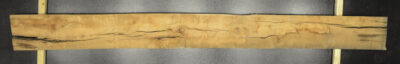 Myrtle (Tasmanian) Board BB3981