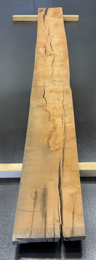 Myrtle (Tasmanian) Board BB3981