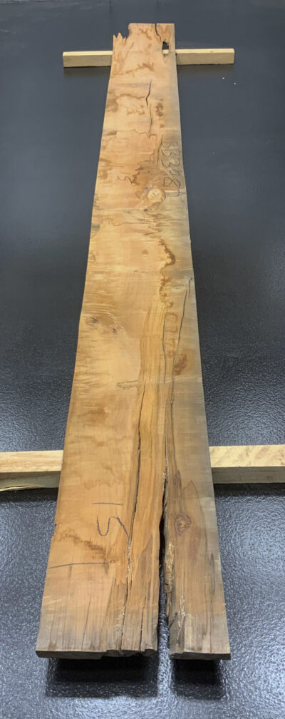 Myrtle (Tasmanian) Board BB3982