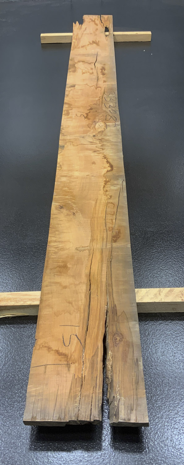 Myrtle (Tasmanian) Board BB3982