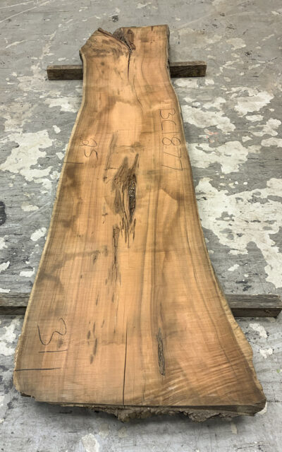 Koa Board BC1877