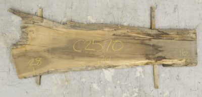 Walnut (Black) Board BC2570