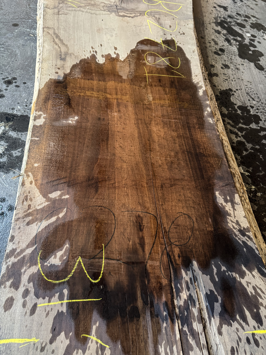 Walnut (Black) Board BC2781 - Image 3