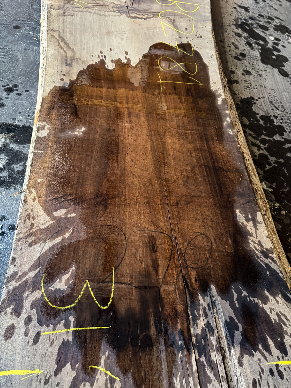 Walnut (Black) Board BC2781 - Image 4