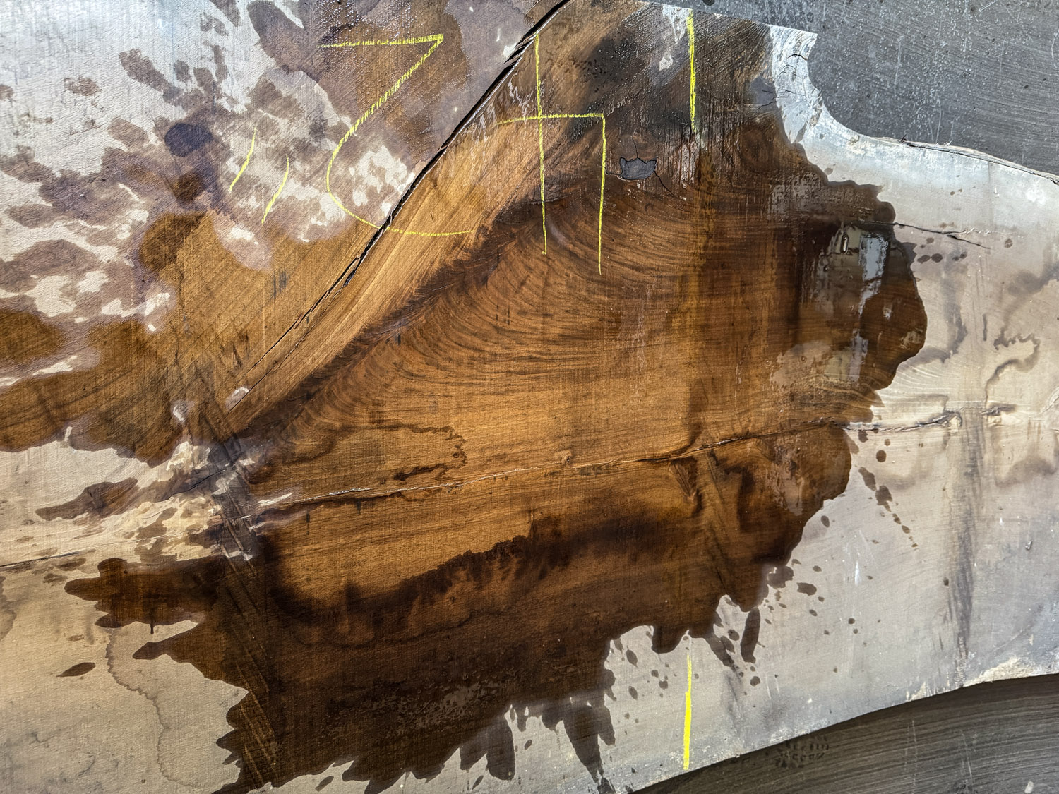 Walnut (Black) Board BC2781 - Image 5