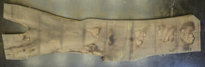 Walnut (Black) Board BC2783