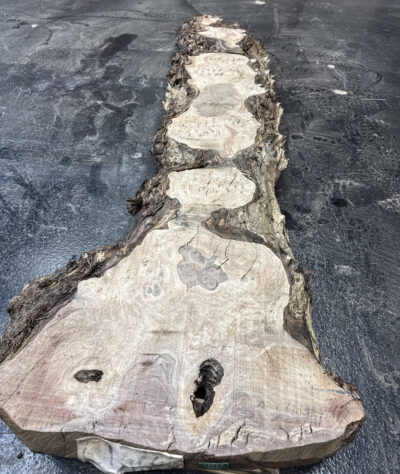 Walnut (Claro) Board BC3381