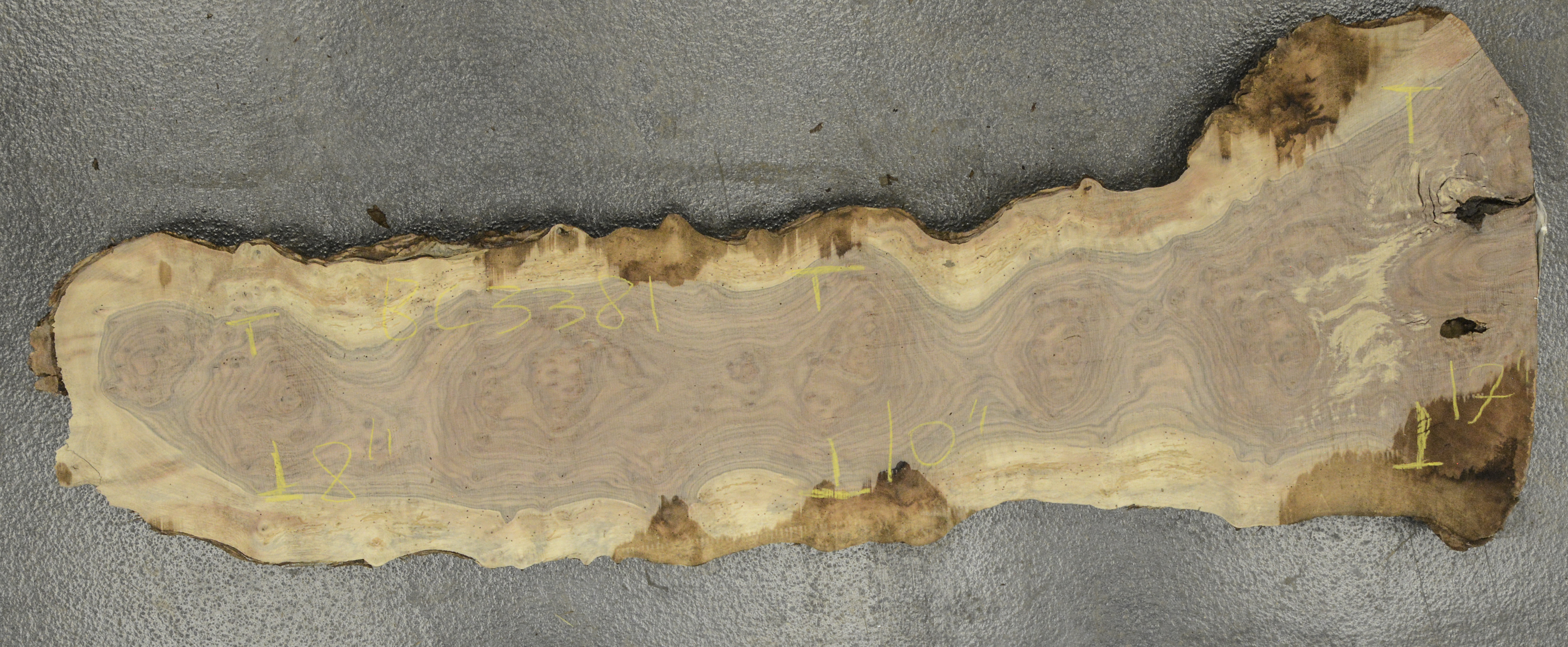 Walnut (Claro) Board BC3381