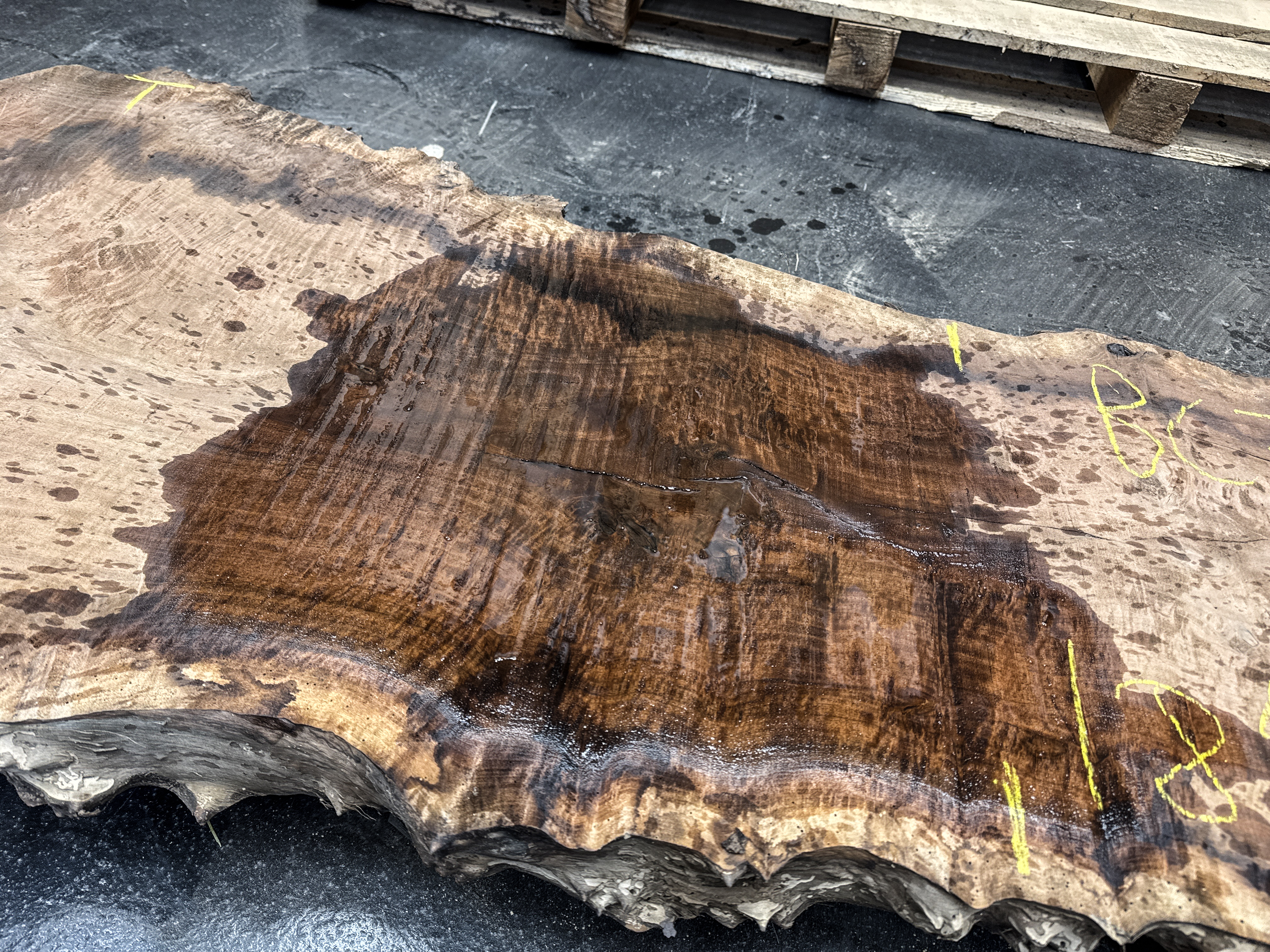 Walnut (Claro) Board BC3383