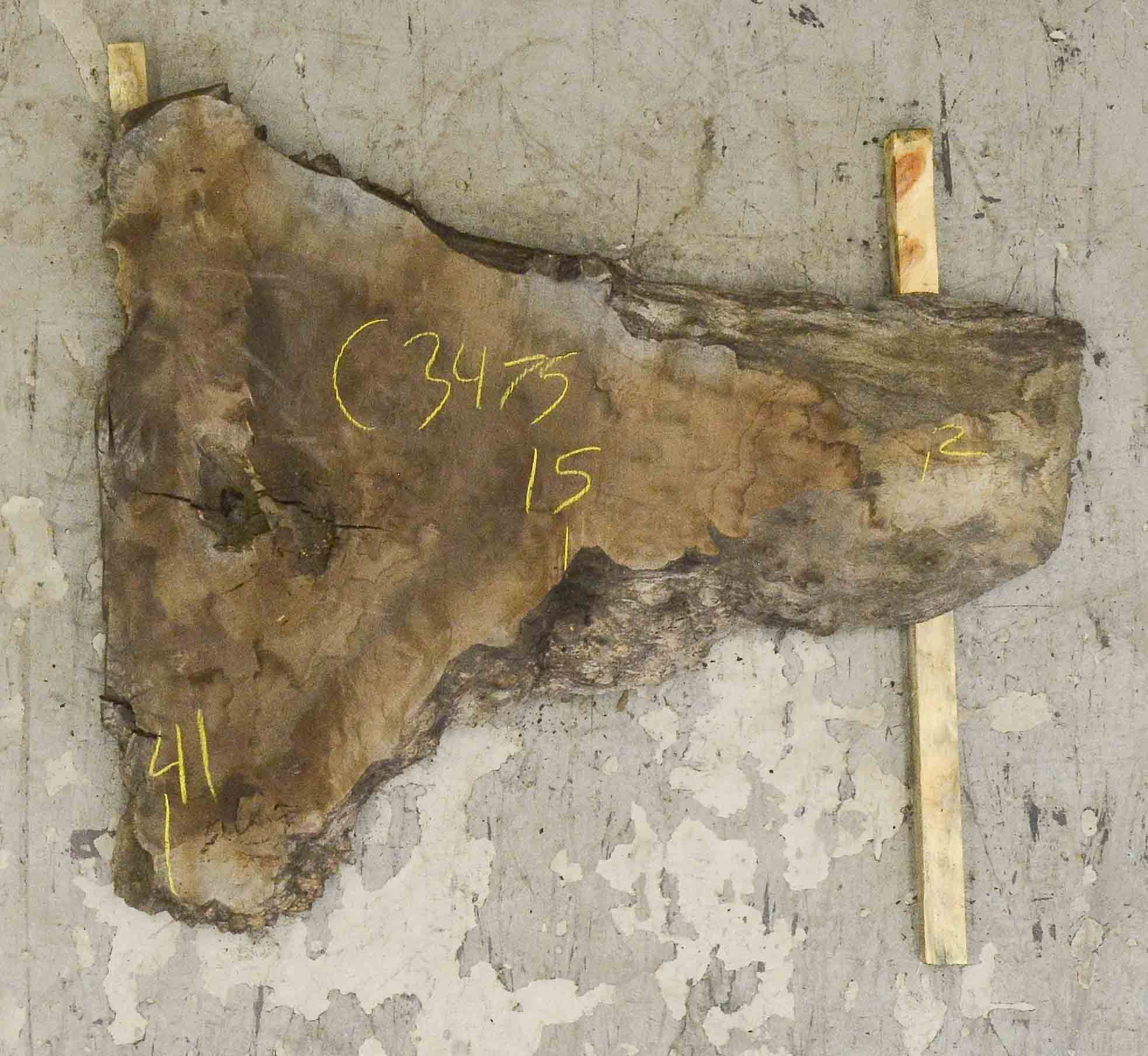 Walnut (Claro) Board BC3475