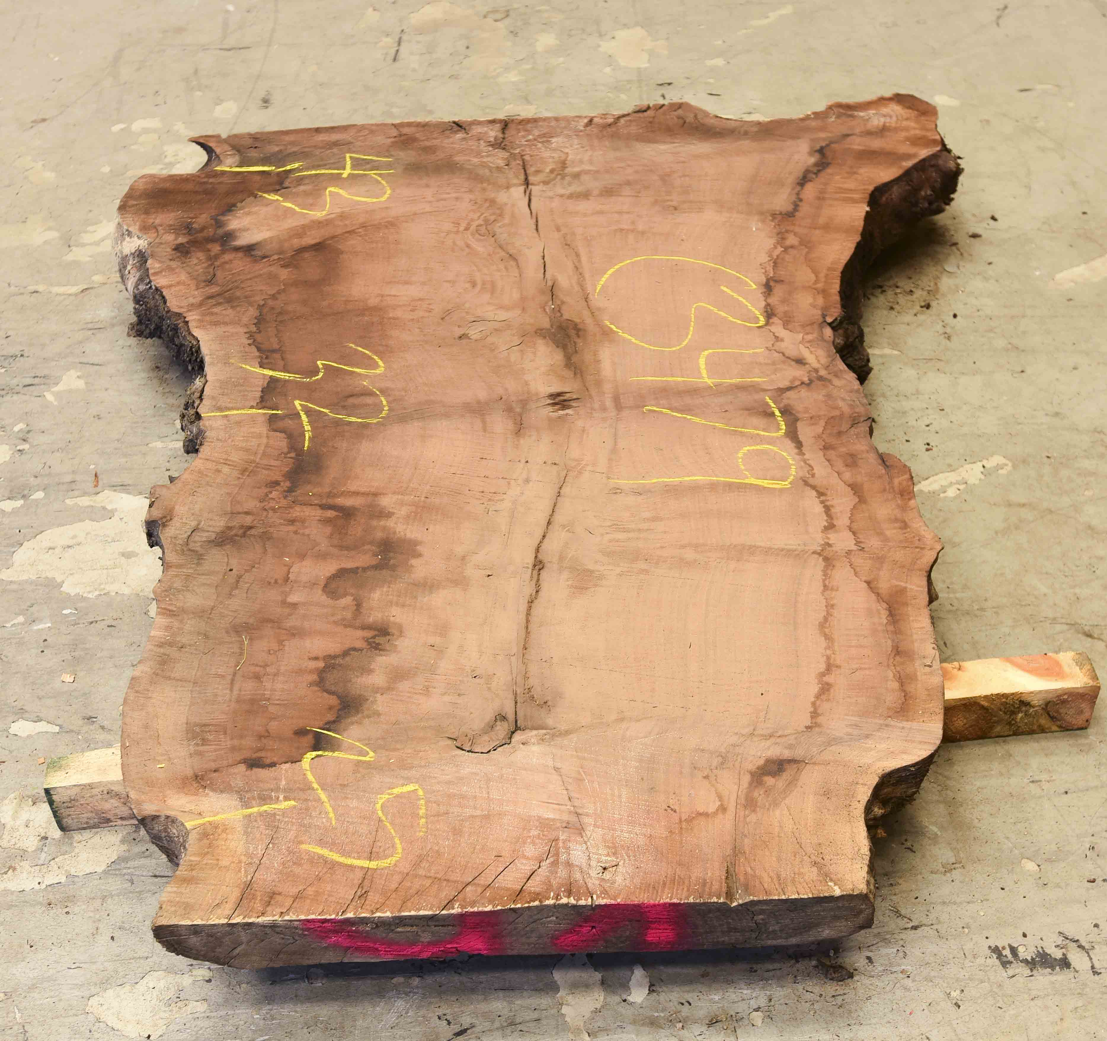 Walnut (Claro) Board BC3479