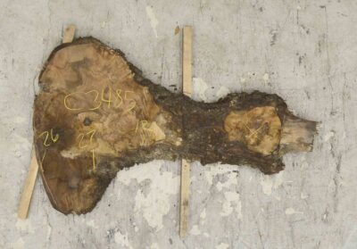 Walnut (Claro) Board BC3485