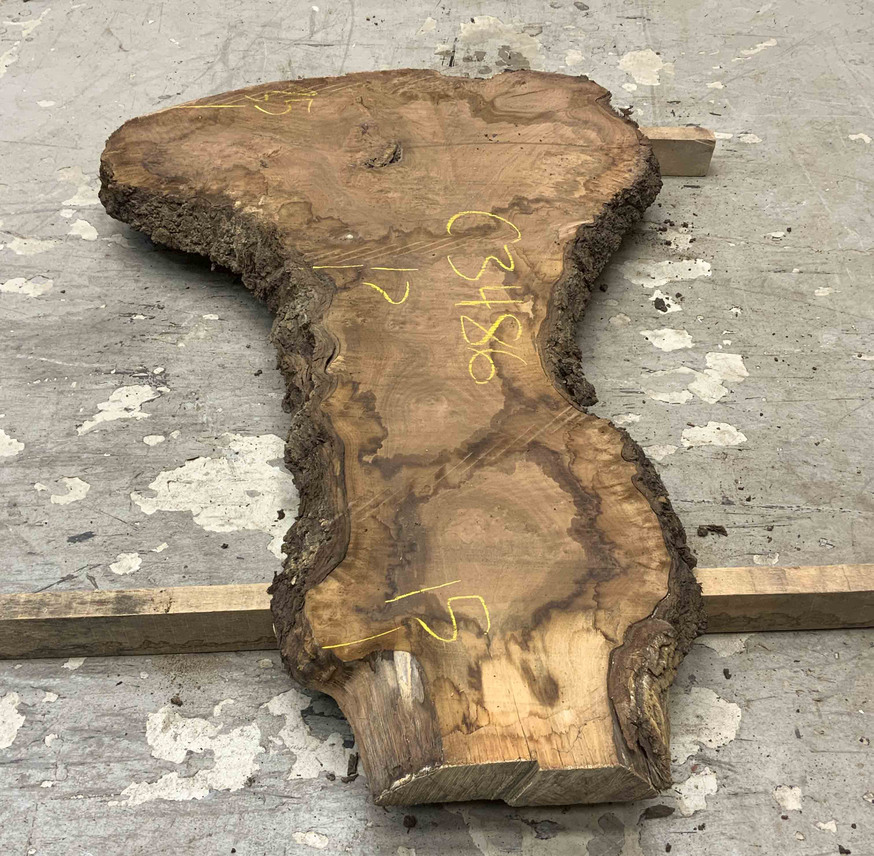 Walnut (Claro) Board BC3486