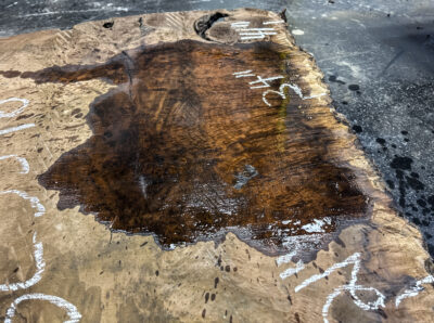 Walnut (Claro) Board BC3596